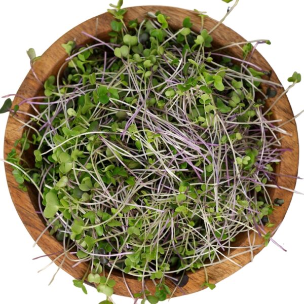 BASIC SALAD MIX - Image 2