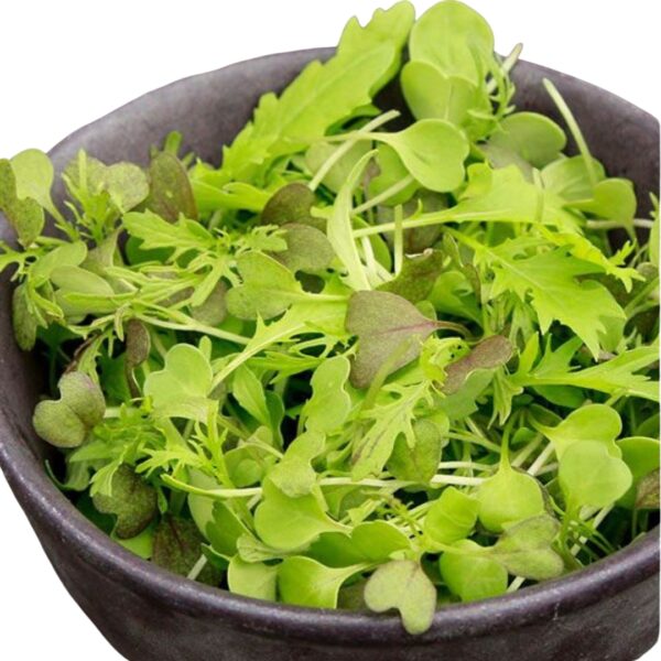 SPICY SALAD MIX - Image 2